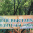 XIII районная выставка-ярмарка производителей товаров и услуг - Верещагинский район